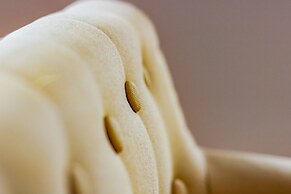 Santos Green Apartment