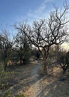 Hotel Rancho Buena Vista