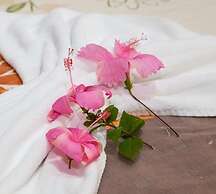 Hotel Chale Nosso Sitio Guaramiranga