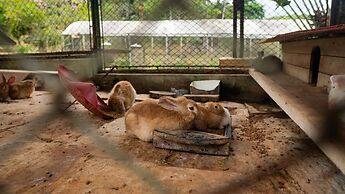 Hotel Chale Nosso Sitio Guaramiranga