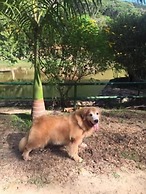 Hotel Chale Nosso Sitio Guaramiranga