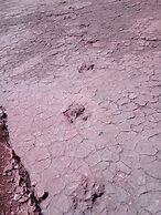 Auberge restaurant Les Coquelicots