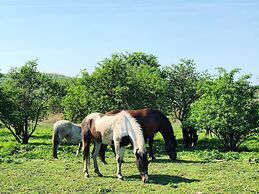 The Houses of History - anno 1830