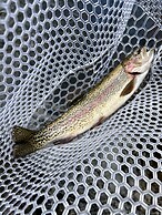 The Woolly Bugger Inn