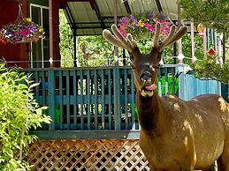 The Woolly Bugger Inn