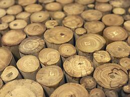 Sonel Investe Apartments Martim Moniz SQ