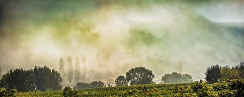 Weingut & Gästehaus Christoph Clüsserath