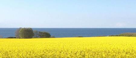 Seehus Ostsee