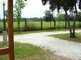 Greenchalets Toskana Viareggio - Campsite