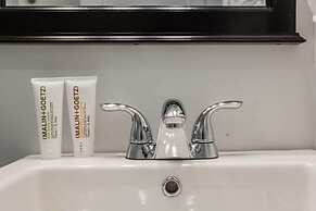 Bright & Modern 1 BDR in Downtown