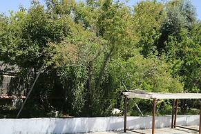 Abu Omair Jabal Shams Guesthouse