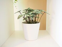 Metro Apartments South Melbourne CBD edge