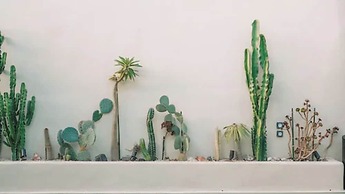 Edem Boutique Suites