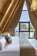 Hancioglu Orman Evleri ve Hotel