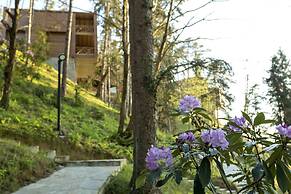 Hancioglu Orman Evleri ve Hotel