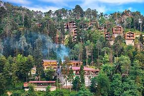 Hancioglu Orman Evleri ve Hotel