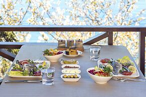 Hancioglu Orman Evleri ve Hotel