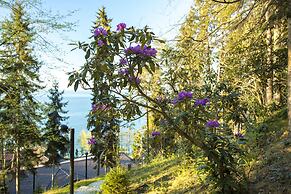 Hancioglu Orman Evleri ve Hotel