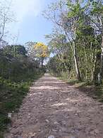 Chalés Monte Suíço