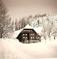 Ferienwohnung Titisee