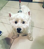 Silver Horse Boutique Hotel