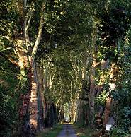 Chateau le Quesnoy