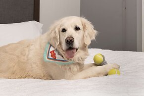 Hampton Inn & Suites Rapid City Rushmore