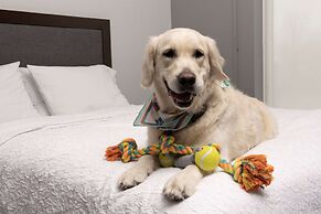 Hampton Inn & Suites Rapid City Rushmore