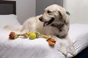 Hampton Inn & Suites Rapid City Rushmore