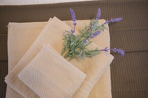 Apartments Zlatin Dvor