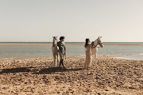 Casa Cook El Gouna - Adults Only