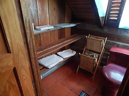 Dogs and Fish Dream Land