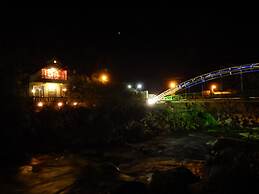 Dogs and Fish Dream Land