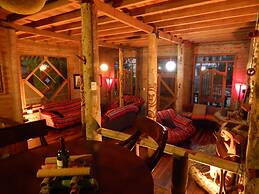 Dogs and Fish Dream Land