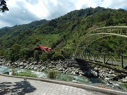 Dogs and Fish Dream Land