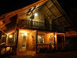 Dogs and Fish Dream Land