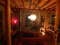 Dogs and Fish Dream Land