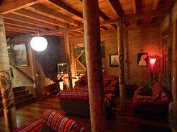 Dogs and Fish Dream Land