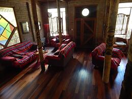 Dogs and Fish Dream Land