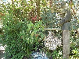 Dogs and Fish Dream Land