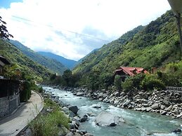 Dogs and Fish Dream Land