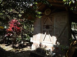 Dogs and Fish Dream Land