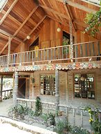 Dogs and Fish Dream Land