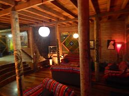 Dogs and Fish Dream Land