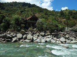 Dogs and Fish Dream Land