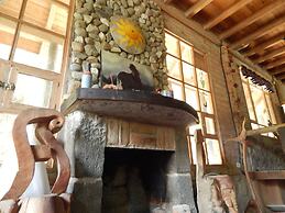 Dogs and Fish Dream Land