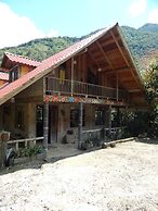 Dogs and Fish Dream Land