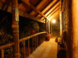 Dogs and Fish Dream Land