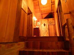 Dogs and Fish Dream Land