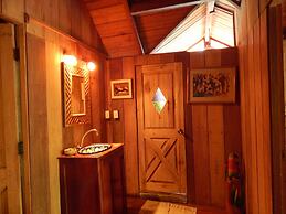 Dogs and Fish Dream Land